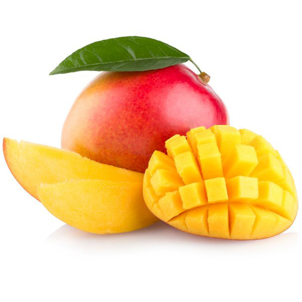 Mangue