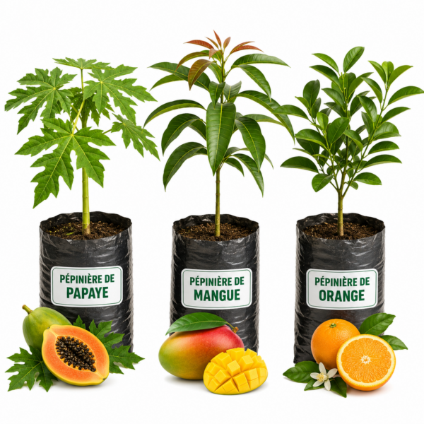 ARBORICULTURE