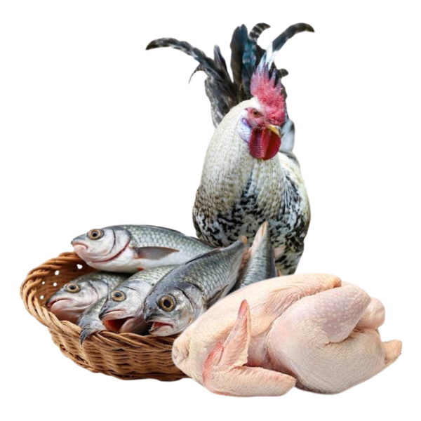 VIANDE ET POISSON