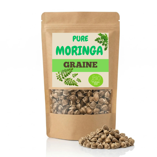 Graine de Moringa